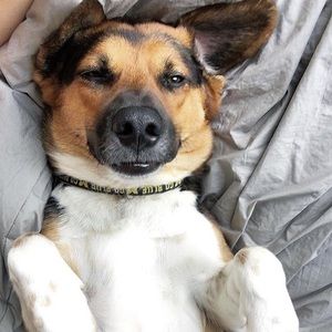 Meet your Posher, Jon